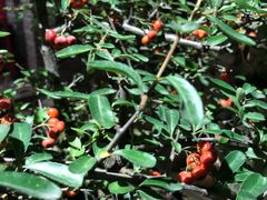 -鱼桥巷·美学川菜