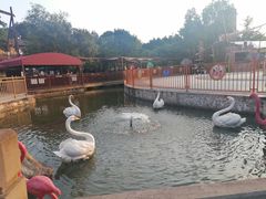 -成都欢乐谷