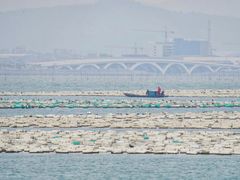 -五缘湾游艇帆船俱乐部