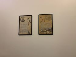 -DEM缔怡美科技美容