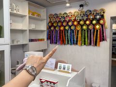 -青奢宠物·青奢猫舍