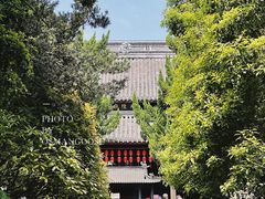 -秋霞圃
