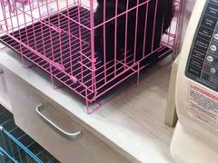 -A猫a狗全科·犬猫异宠·芥西宠物医院(南开总院)