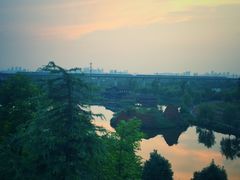 -白鹭湾湿地公园