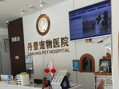 -丹景宠物医院·全科·老年病·牙科(武昌诊疗中心)