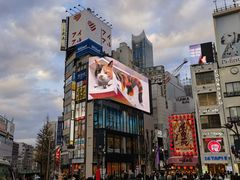 -东京希尔顿酒店