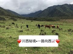 -石棉县孟获城
