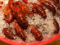 -红辣椒·川菜·火锅(张杨路店)