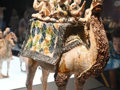 -陕西历史博物馆