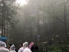 -梦幻奥陶纪景区