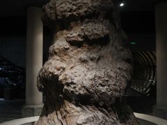 -乐山乌木文化博览苑