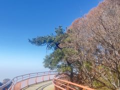 -少华山国家森林公园