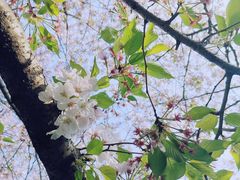 -上海体育场(地铁站)