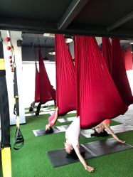 -桃秘钢管舞Peach Pole Fitness