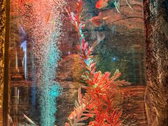 -沈阳海洋探索中心