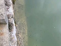 -海驴岛(荣成市)