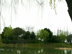 -尚贤河湿地