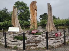 -金钉子远古世界景区