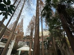 -和平官邸·花园餐厅(武定西路店)