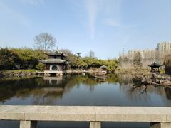 -水绘园