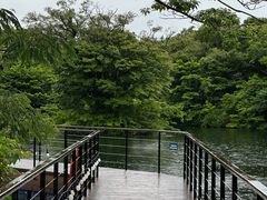 -济州森林小火车生态公园