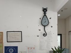 -中农国际动物医院24小时·猫科·骨科·急重症中心