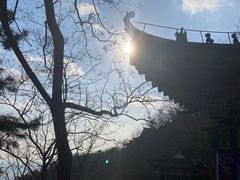 -石老人观光园