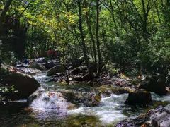 -白草畔自然风景区