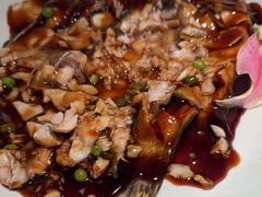 -桂满陇天书(南京德基旗舰店)