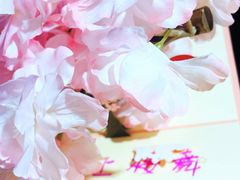 -樱宿日式和牛烧肉(五道口店)