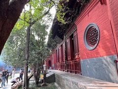 -洛阳白马寺