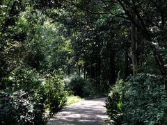 -广西壮族自治区药用植物园