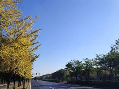 -胜华驾校·小猫学车(银都店)