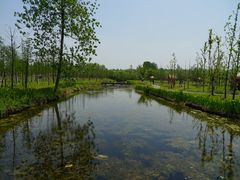 -溱湖国家湿地公园