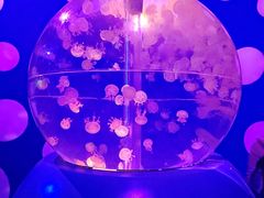 -海合安武汉极地海洋公园