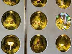 -野·大山里土鸡火锅(万科里店)