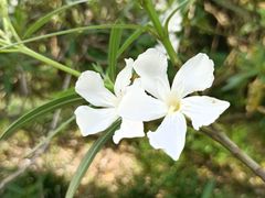-共青国家森林公园-售票处