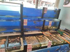 -添福来墨鱼饺子 · 海鲜东北菜(泡崖店)