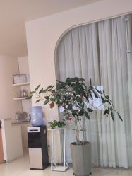 -哈喽美妈产后恢复中心(乐堤港店)