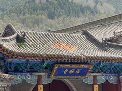 -五台山风景名胜区-罗睺寺