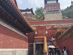 -皇家御河游(紫御湾码头)