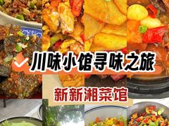 -新新湘菜馆(新中街二条店)