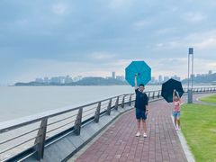 -野狸岛