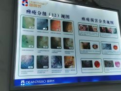 -苗院长皮肤管理中心