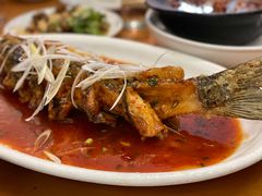 -曾牛肉
