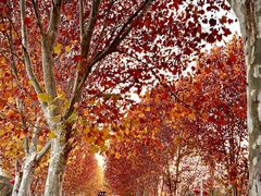 -南京金牛湖风景区