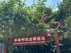 -高荡千年布依古寨旅游景区