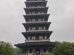 -宜兴龙背山森林公园