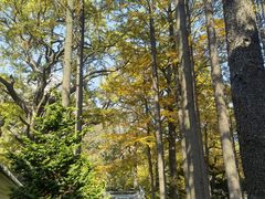 -青岛崂山太清宫
