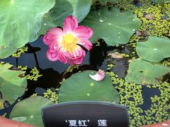 -国家植物园南园